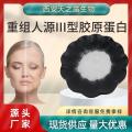 重组人源III型胶原蛋白 重组三型胶原蛋白 化妆品原料